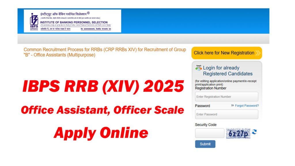 IBPS RRB XIV Recruitment 2025
